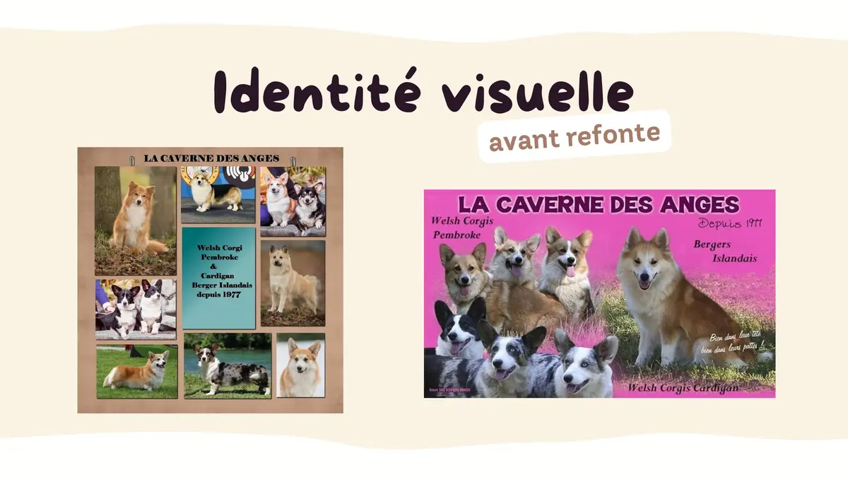 Les anciens supports de communication de La Caverne des Anges avant la refonte graphique, sans identité visuelle cohérente